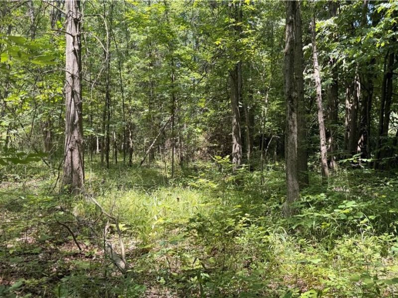 3359 Helsey Fusselman Road, Southington, OH 44470 Photo 1