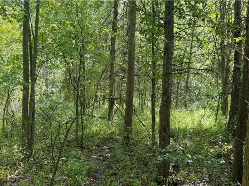 3359 Helsey Fusselman Road, Southington, OH 44470 Photo 10