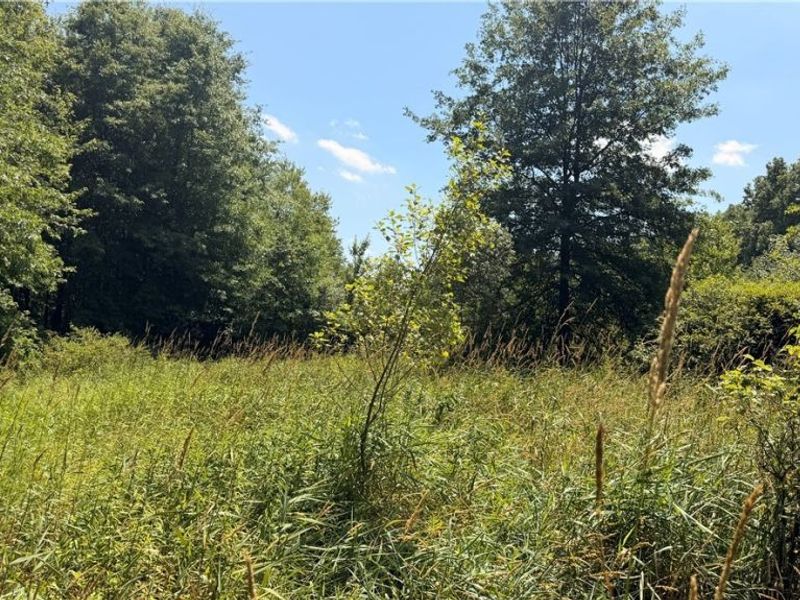 3359 Helsey Fusselman Road, Southington, OH 44470 Photo 11