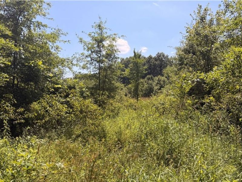 3359 Helsey Fusselman Road, Southington, OH 44470 Photo 13