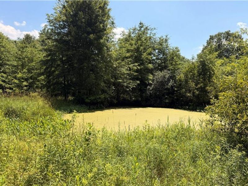 3359 Helsey Fusselman Road, Southington, OH 44470 Photo 22