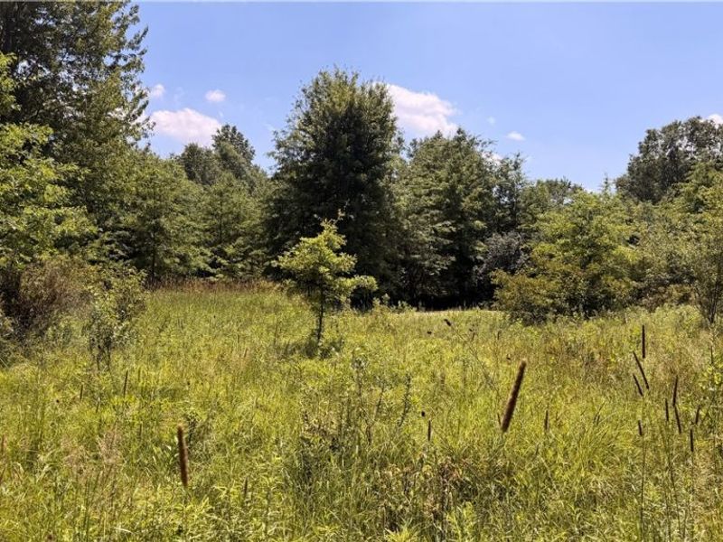 3359 Helsey Fusselman Road, Southington, OH 44470 Photo 23