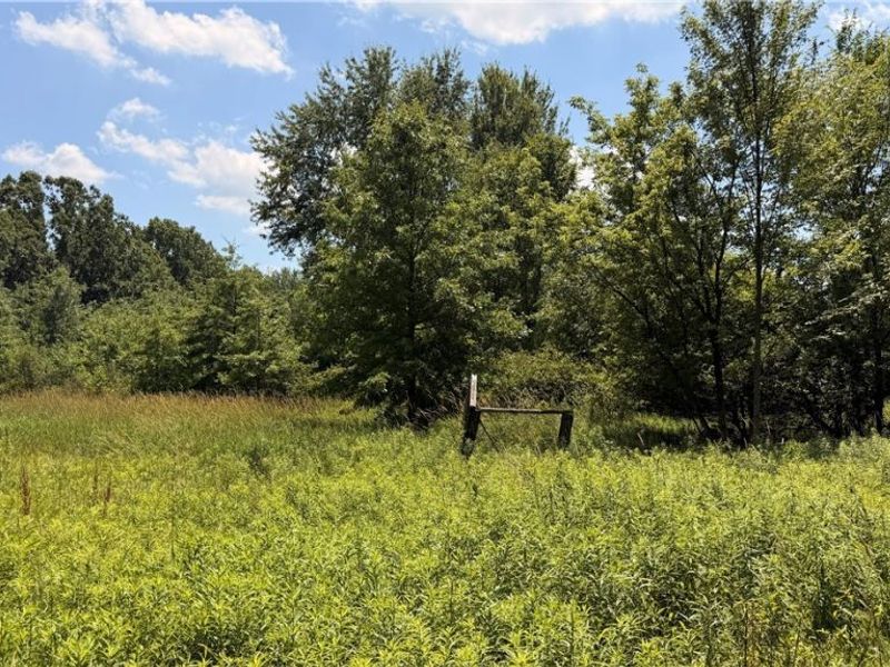 3359 Helsey Fusselman Road, Southington, OH 44470 Photo 24