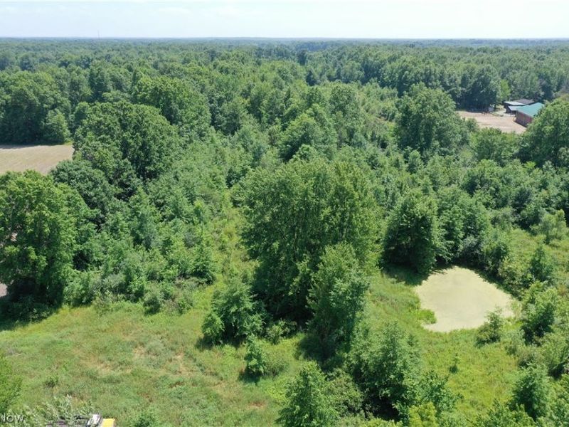 3359 Helsey Fusselman Road, Southington, OH 44470 Photo 27