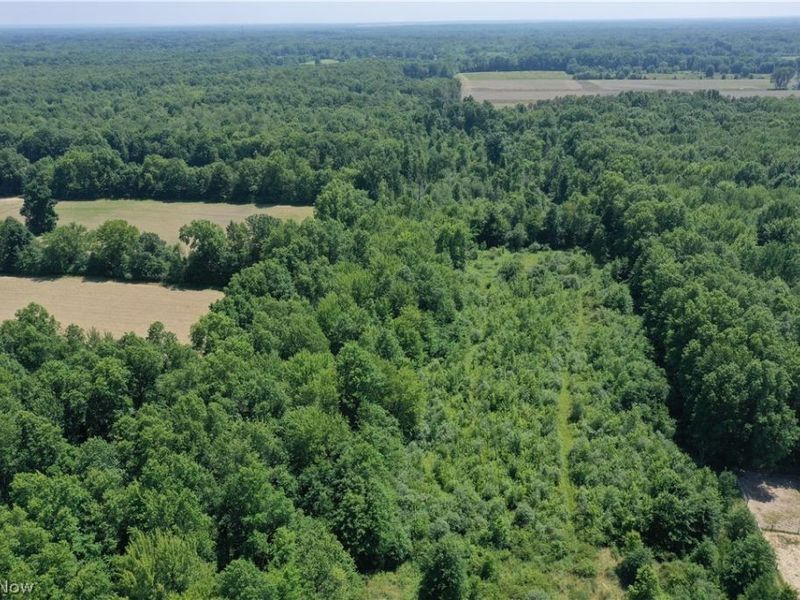 3359 Helsey Fusselman Road, Southington, OH 44470 Photo 29