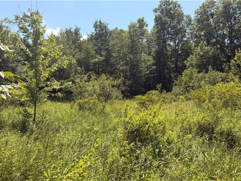 3359 Helsey Fusselman Road, Southington, OH 44470 Photo 3