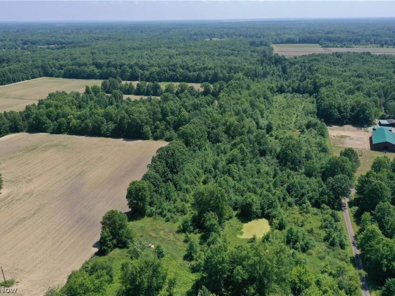 3359 Helsey Fusselman Road, Southington, OH 44470 Photo 31