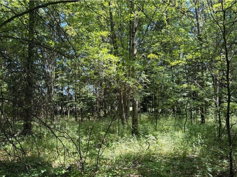 3359 Helsey Fusselman Road, Southington, OH 44470 Photo 6