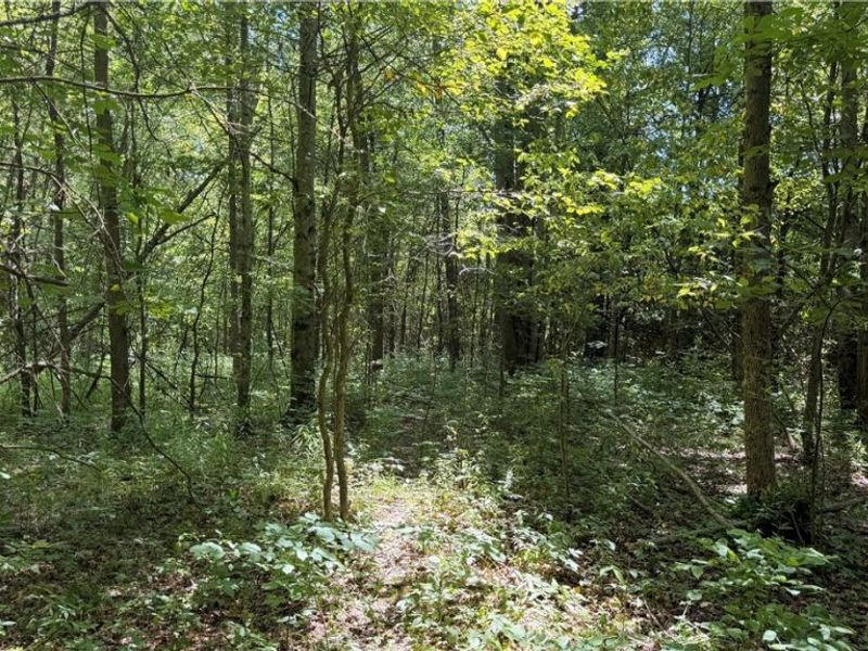 3359 Helsey Fusselman Road, Southington, OH 44470 Photo 7