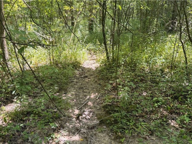 3359 Helsey Fusselman Road, Southington, OH 44470 Photo 8