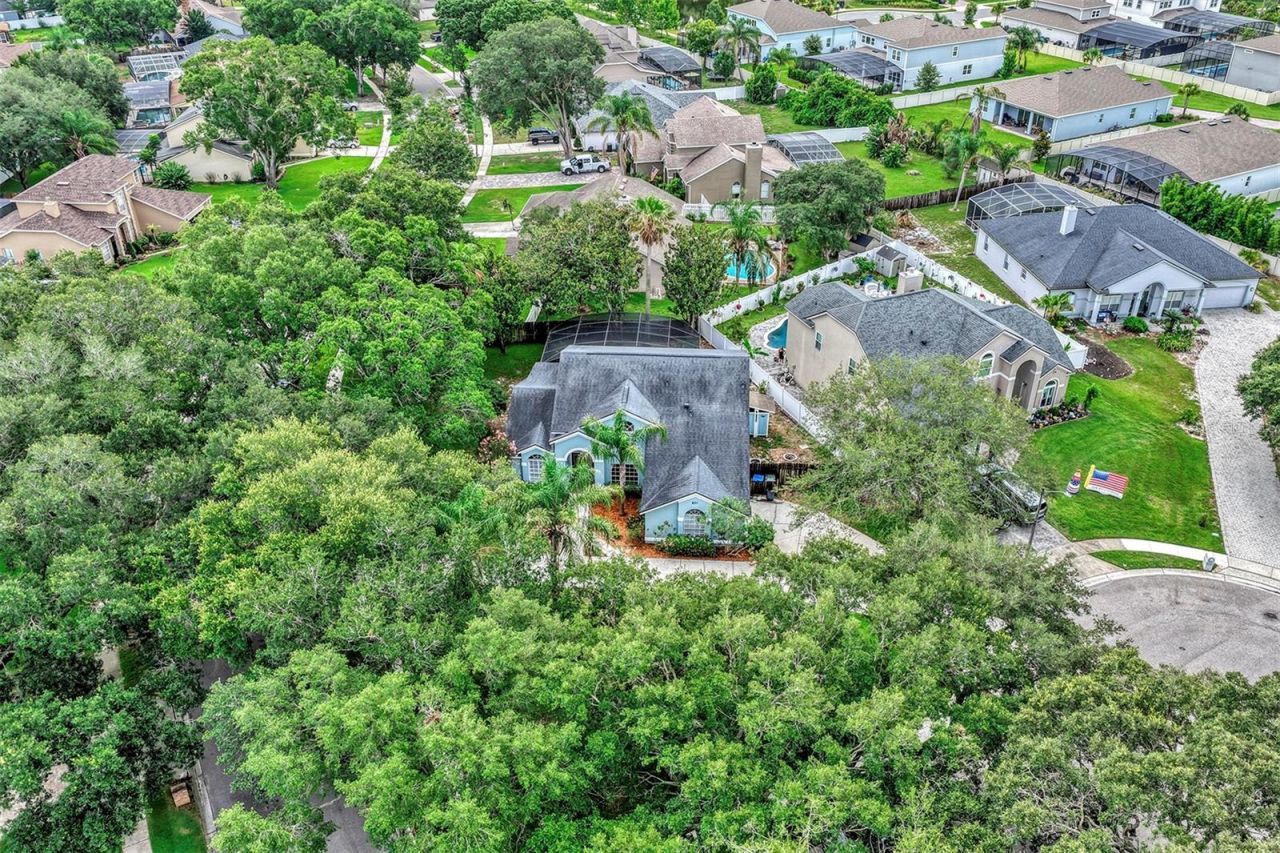 601 Red Maple Court , Oviedo, FL 32765 Photo
