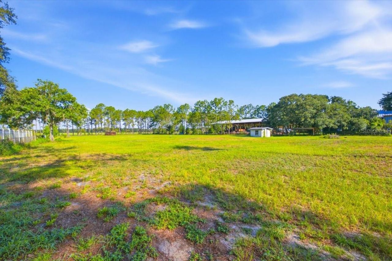6709 Five Acre Rd , Plant City, FL 33565 Photo