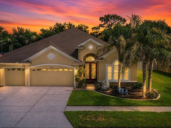 27405 SORA BOULEVARD , WESLEY CHAPEL, FL 33544