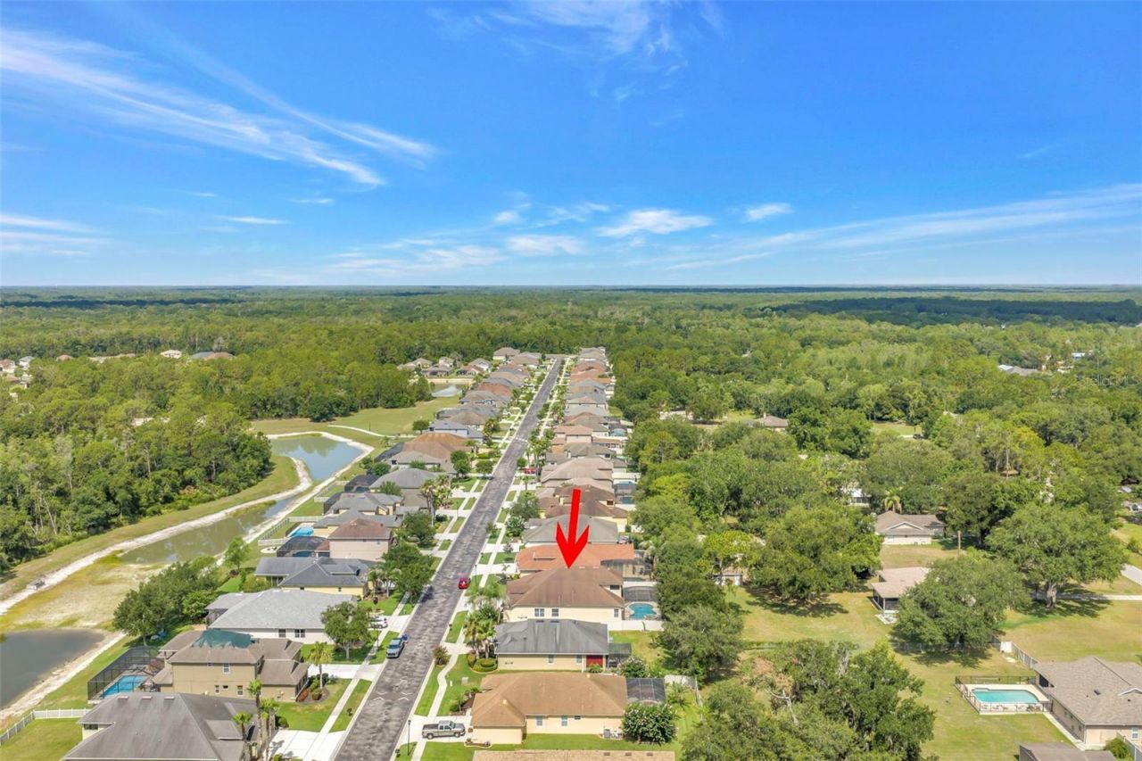 27405 Sora Boulevard , Wesley Chapel, FL 33544 Photo