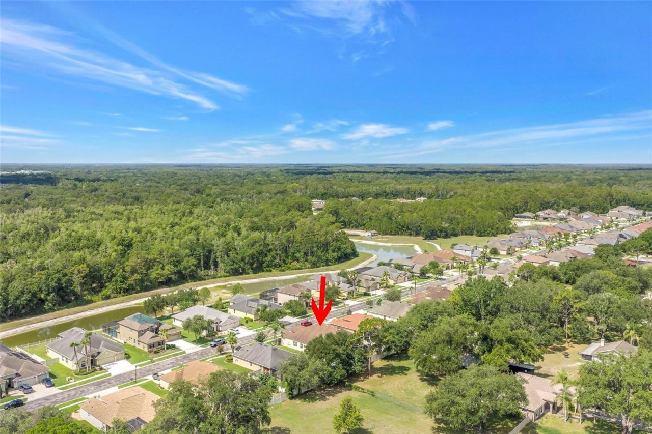 27405 Sora Boulevard , Wesley Chapel, FL 33544 Photo