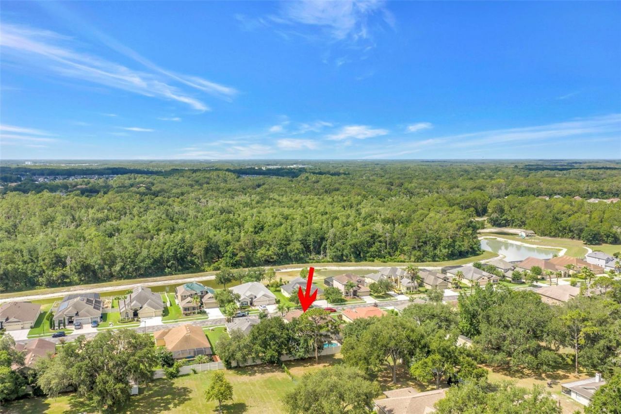 27405 Sora Boulevard , Wesley Chapel, FL 33544 Photo