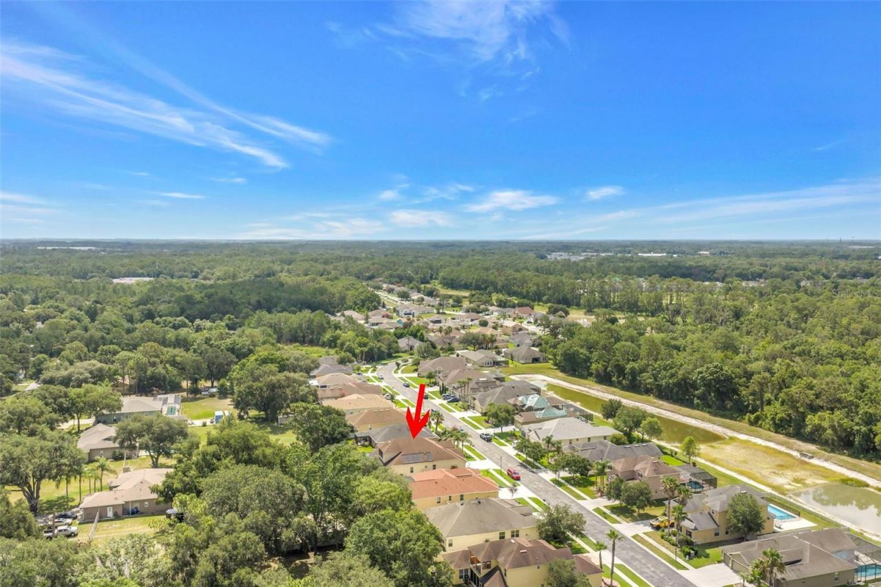 27405 Sora Boulevard , Wesley Chapel, FL 33544 Photo