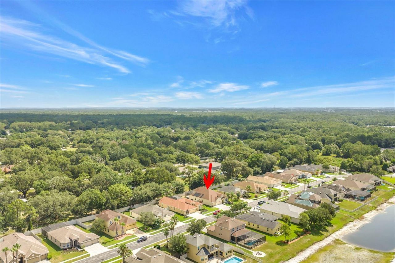 27405 Sora Boulevard , Wesley Chapel, FL 33544 Photo