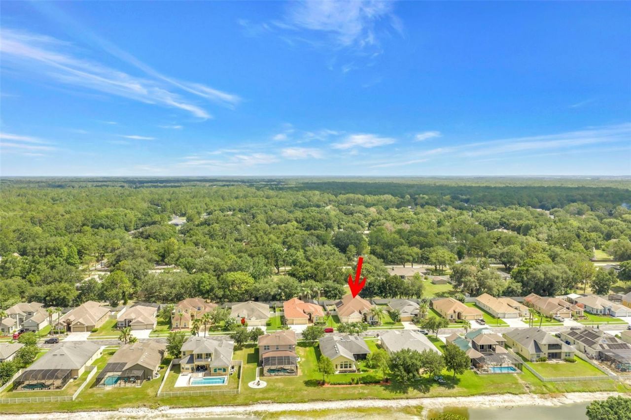 27405 Sora Boulevard , Wesley Chapel, FL 33544 Photo