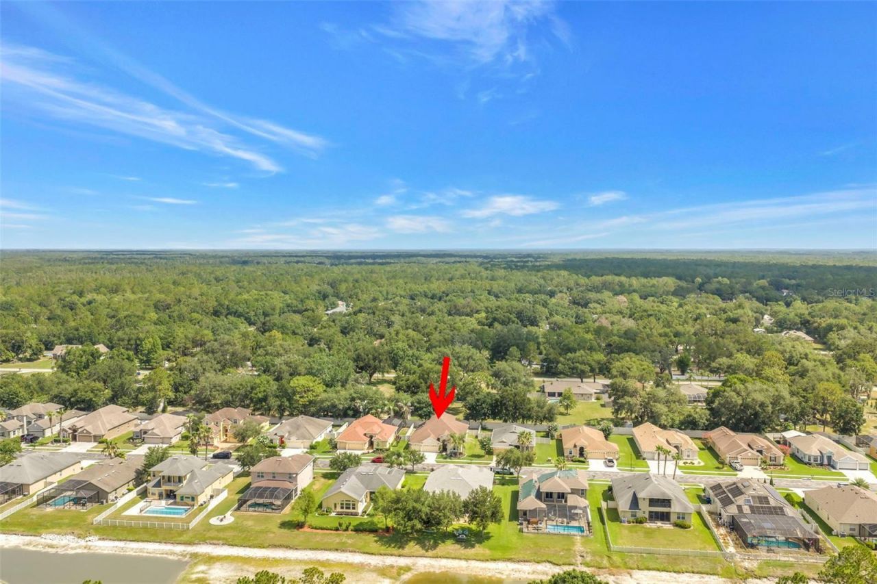 27405 Sora Boulevard , Wesley Chapel, FL 33544 Photo