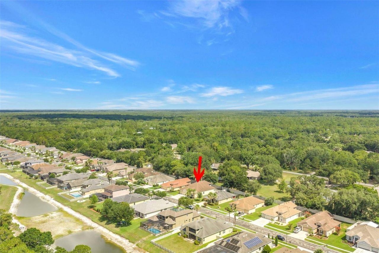 27405 Sora Boulevard , Wesley Chapel, FL 33544 Photo