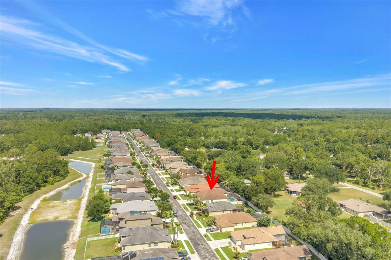 27405 Sora Boulevard , Wesley Chapel, FL 33544 Photo