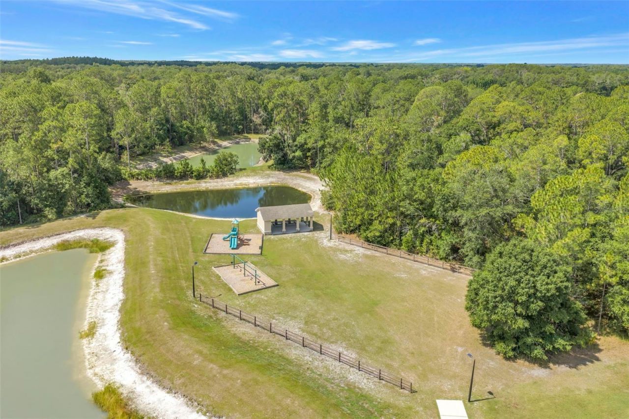 27405 Sora Boulevard , Wesley Chapel, FL 33544 Photo