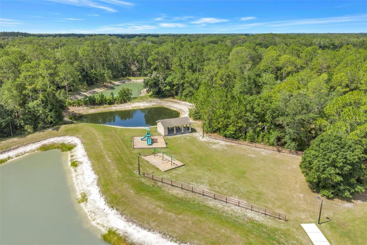 27405 Sora Boulevard , Wesley Chapel, FL 33544 Photo