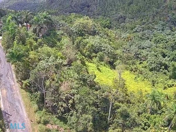 785 CARR, Aguas Buenas, PR 00703