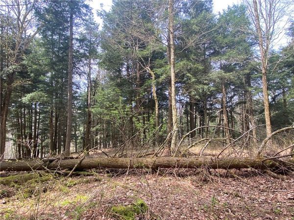 Lot A Piermott Lane , Hartwick, NY 13348