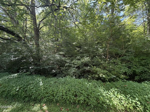 Lot 11 Smoky Mountain Way, Sevierville, TN 37876