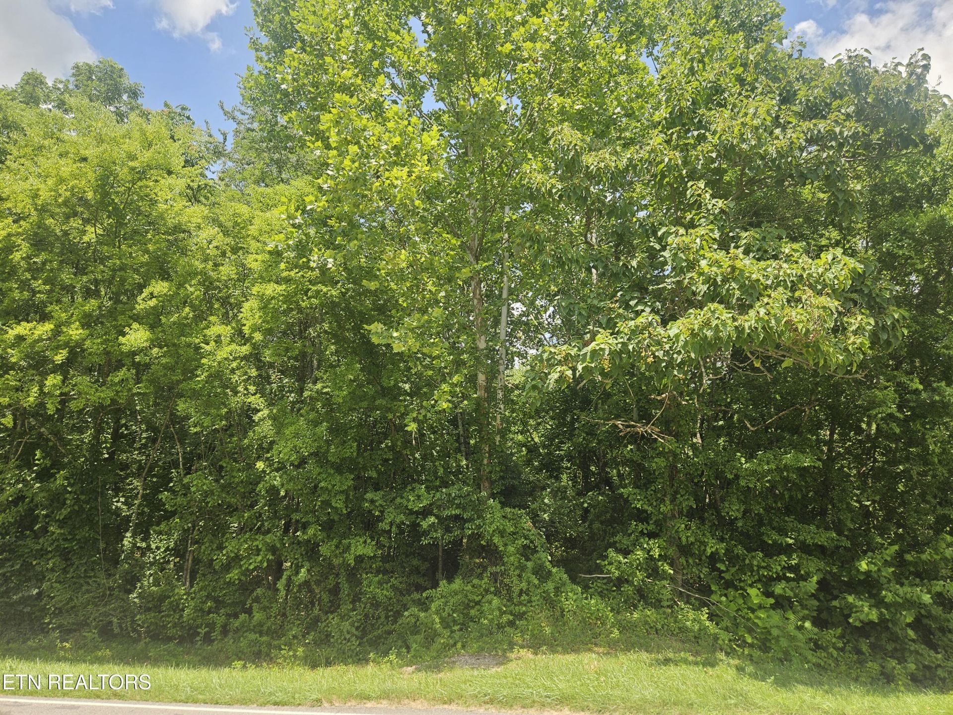 Loudon Rd, Philadelphia, TN 37846 Main Photo
