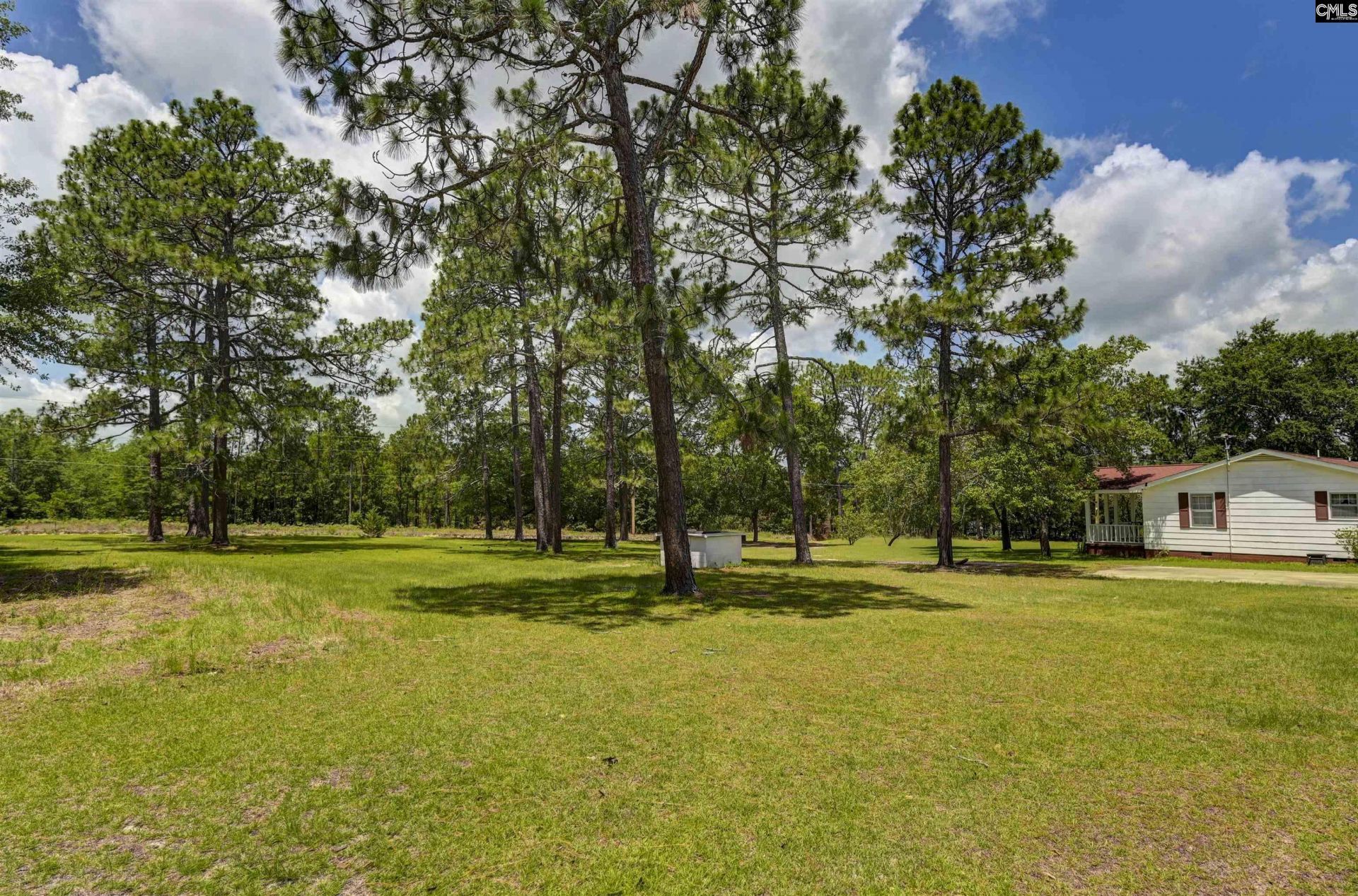 409 Hayride Road Photo 21