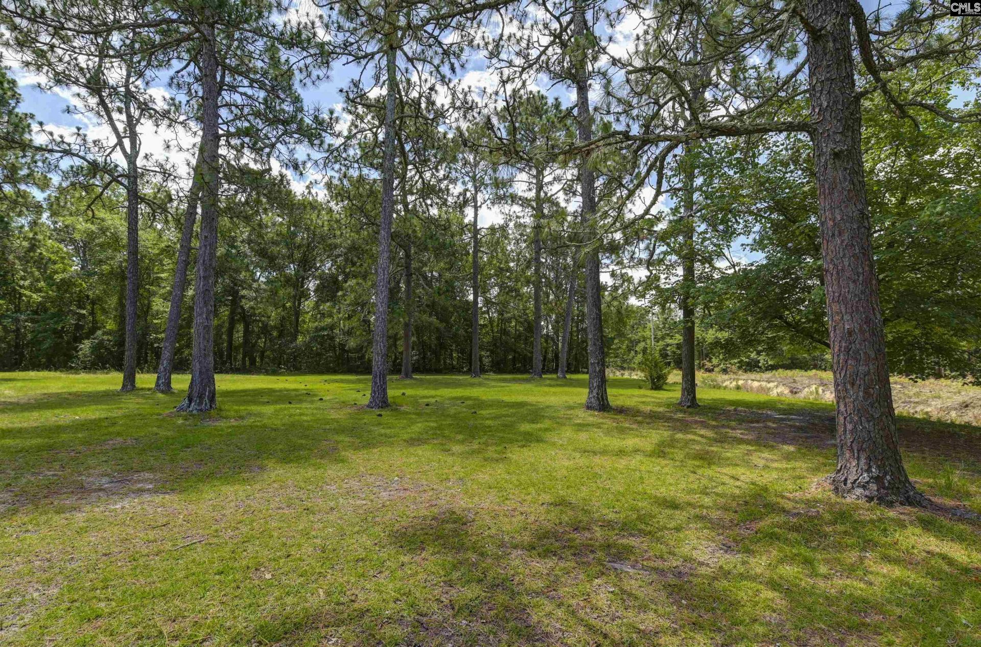 409 Hayride Road Photo 5