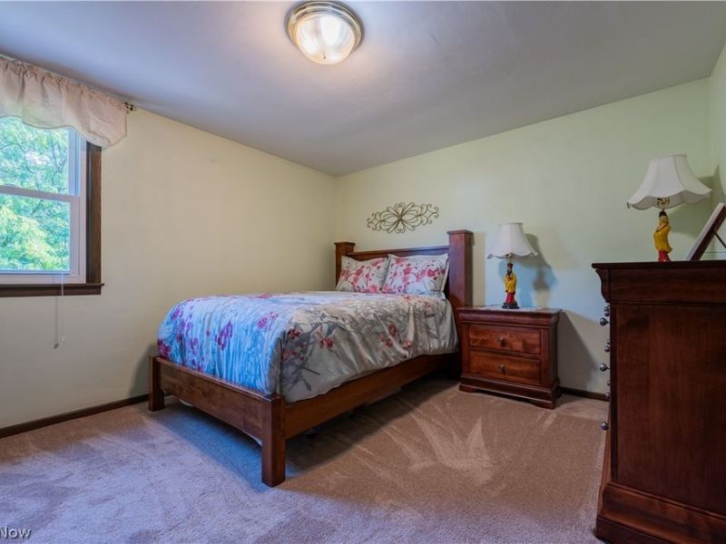 1507 Tamarisk, Poland, OH 44514 Photo 20