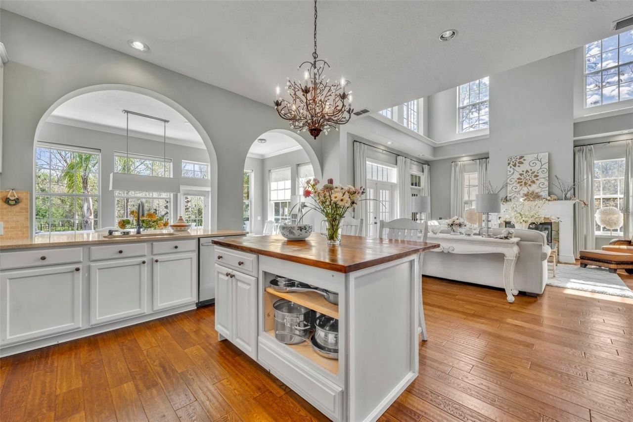 807 Oak Shadows Road, Celebration, FL 34747 Photo