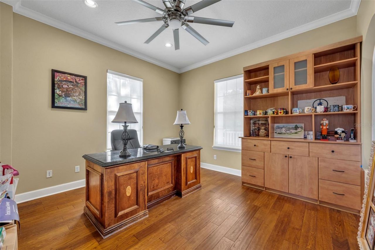 807 Oak Shadows Road, Celebration, FL 34747 Photo