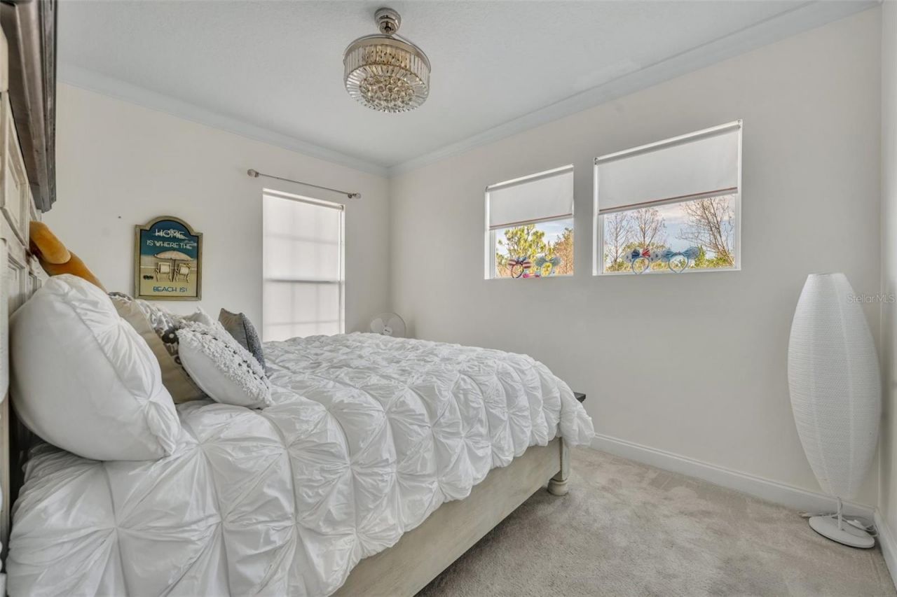 807 Oak Shadows Road, Celebration, FL 34747 Photo