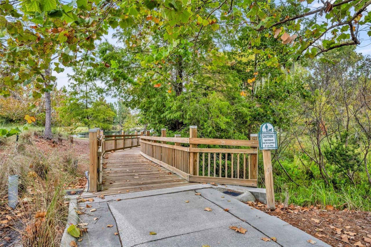 807 Oak Shadows Road, Celebration, FL 34747 Photo