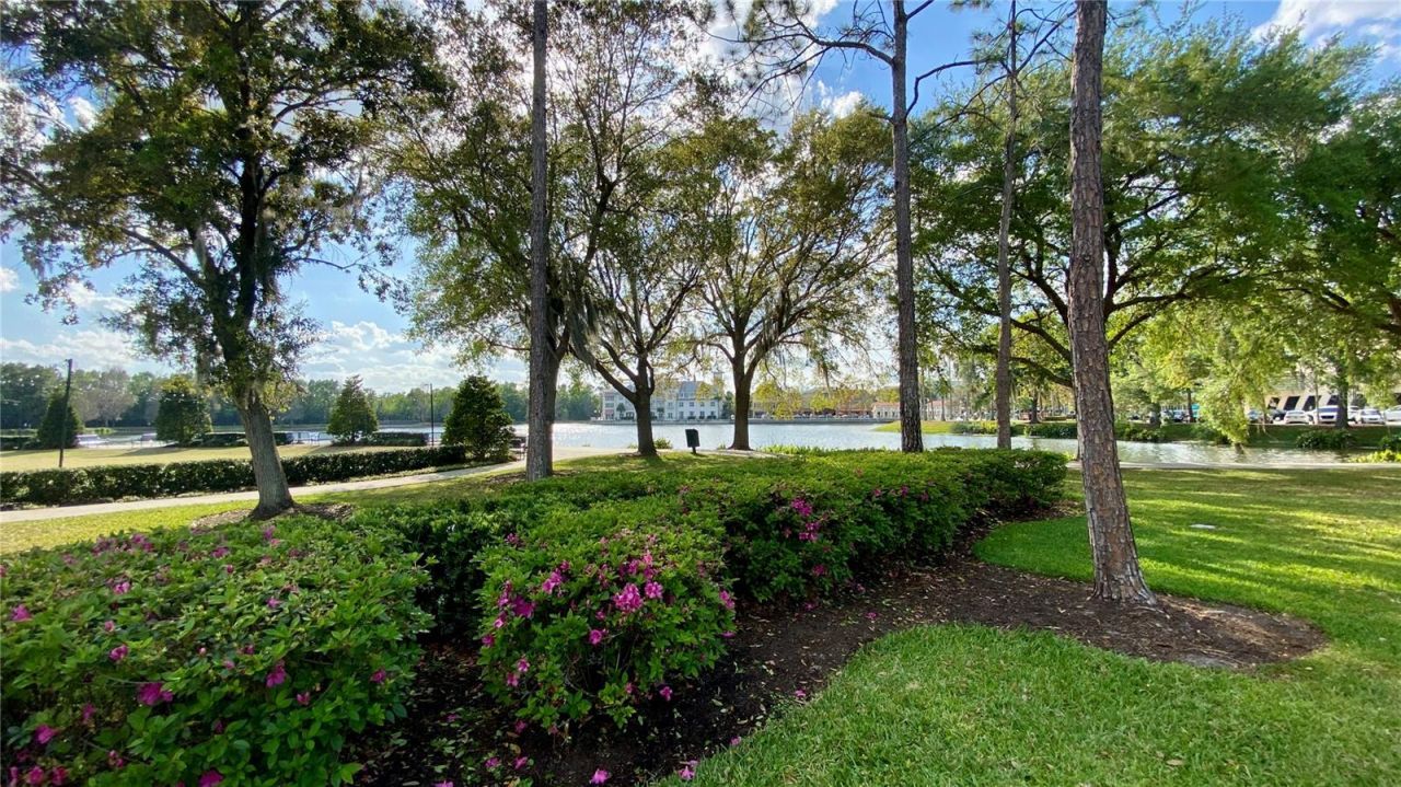 807 Oak Shadows Road, Celebration, FL 34747 Photo