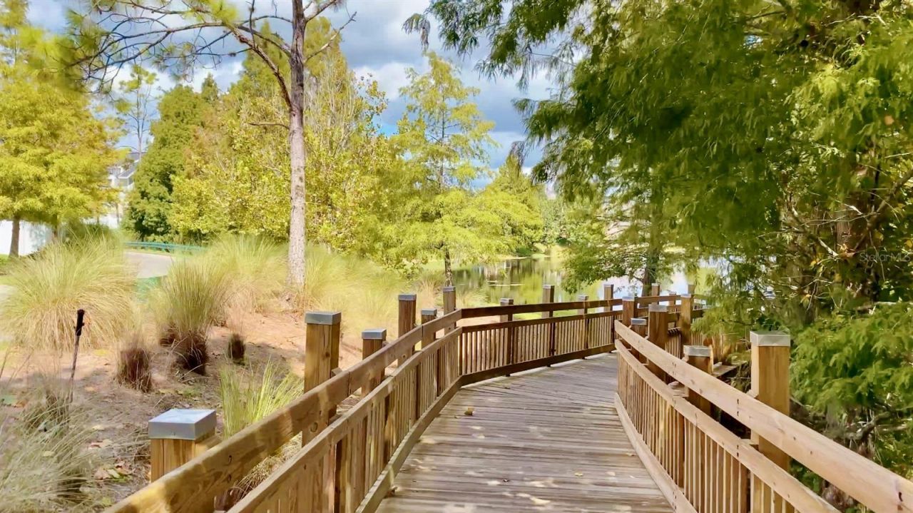 807 Oak Shadows Road, Celebration, FL 34747 Photo