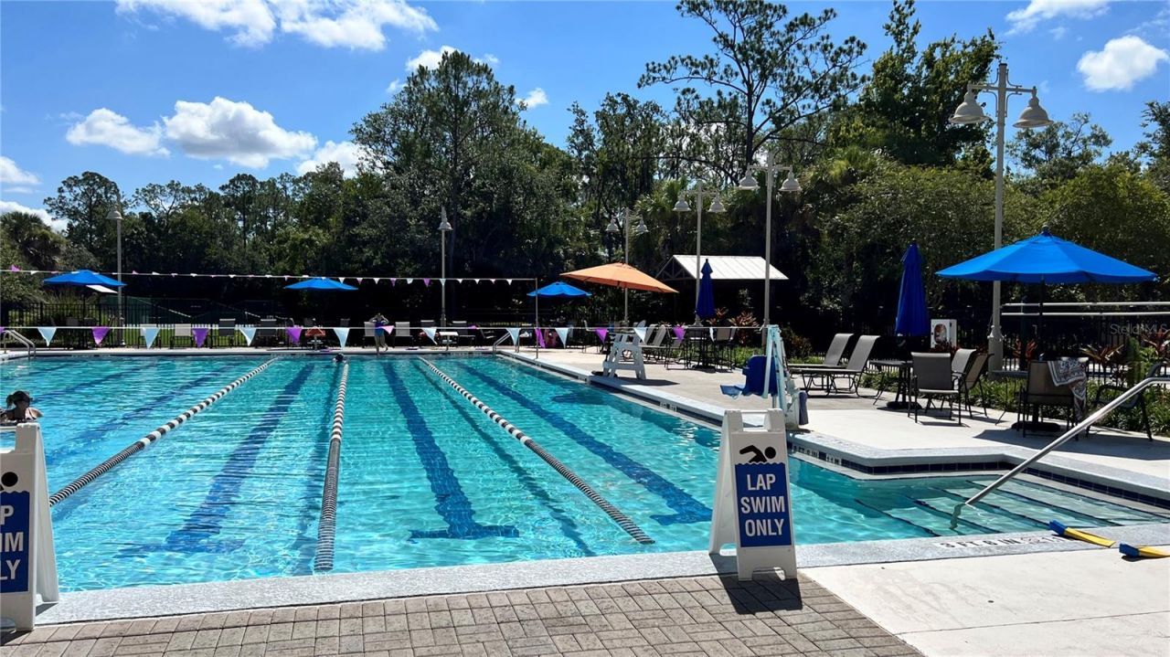 807 Oak Shadows Road, Celebration, FL 34747 Photo