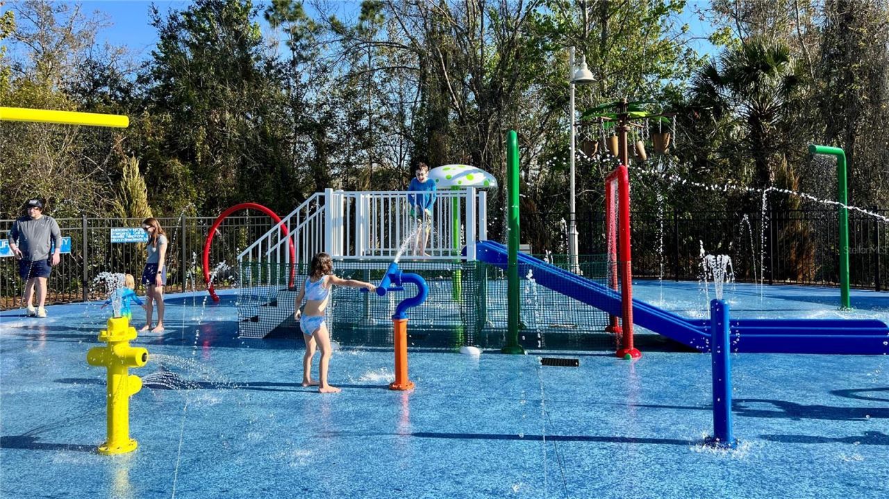 807 Oak Shadows Road, Celebration, FL 34747 Photo