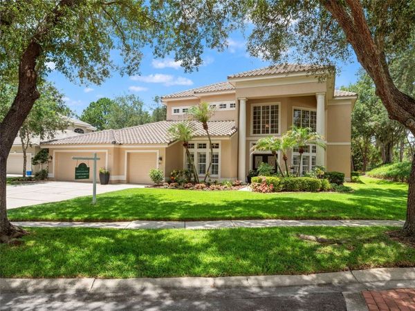 17422 HEATHER OAKS PLACE , TAMPA, FL 33647