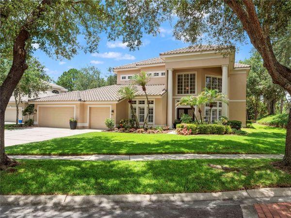 17422 HEATHER OAKS PLACE Tampa, FL 