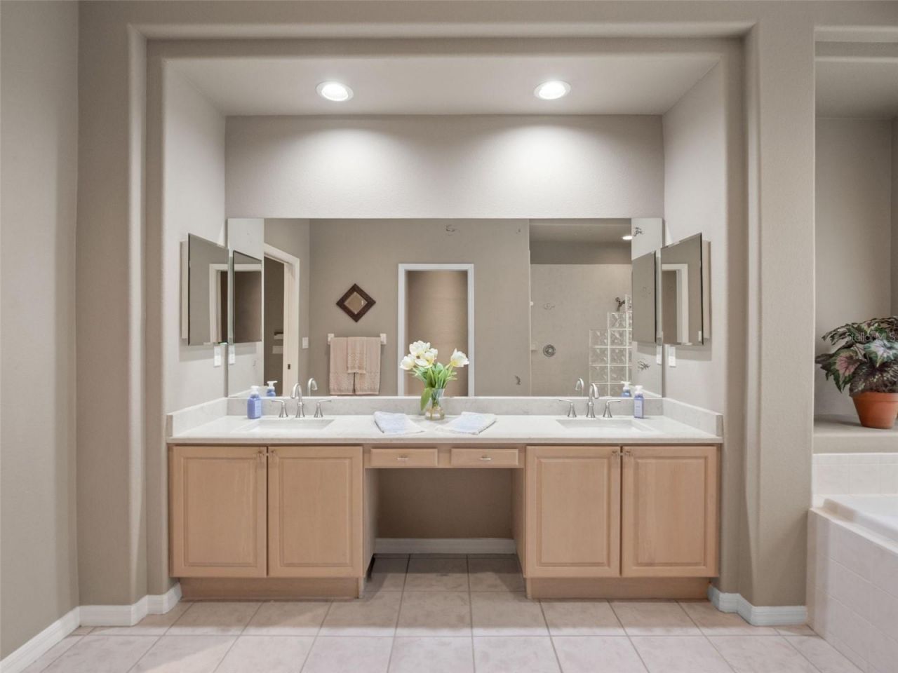 17422 Heather Oaks Place , Tampa, FL 33647 Photo