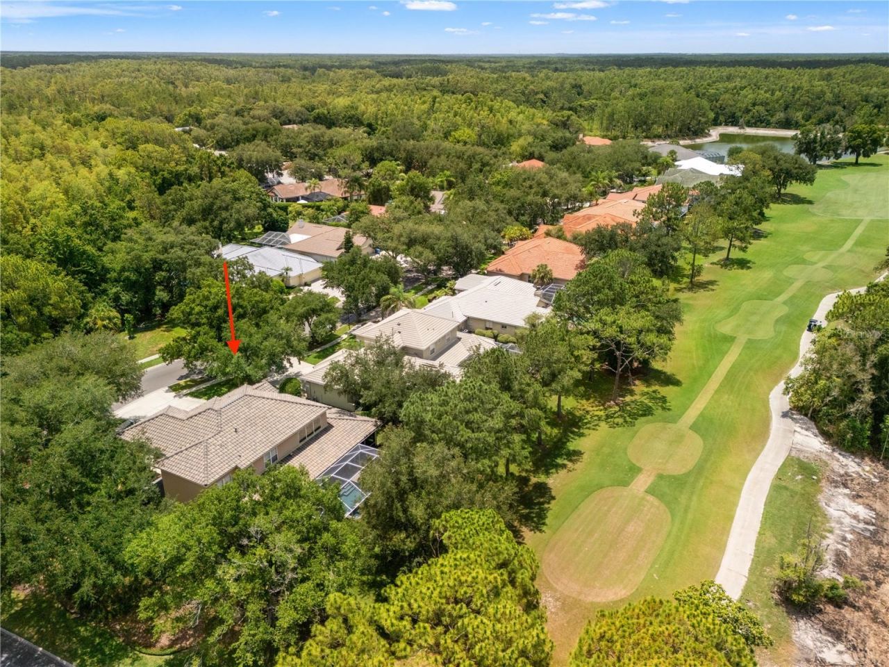 17422 Heather Oaks Place , Tampa, FL 33647 Photo