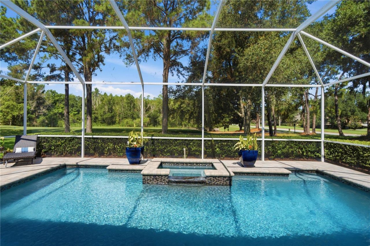 17422 Heather Oaks Place , Tampa, FL 33647 Photo