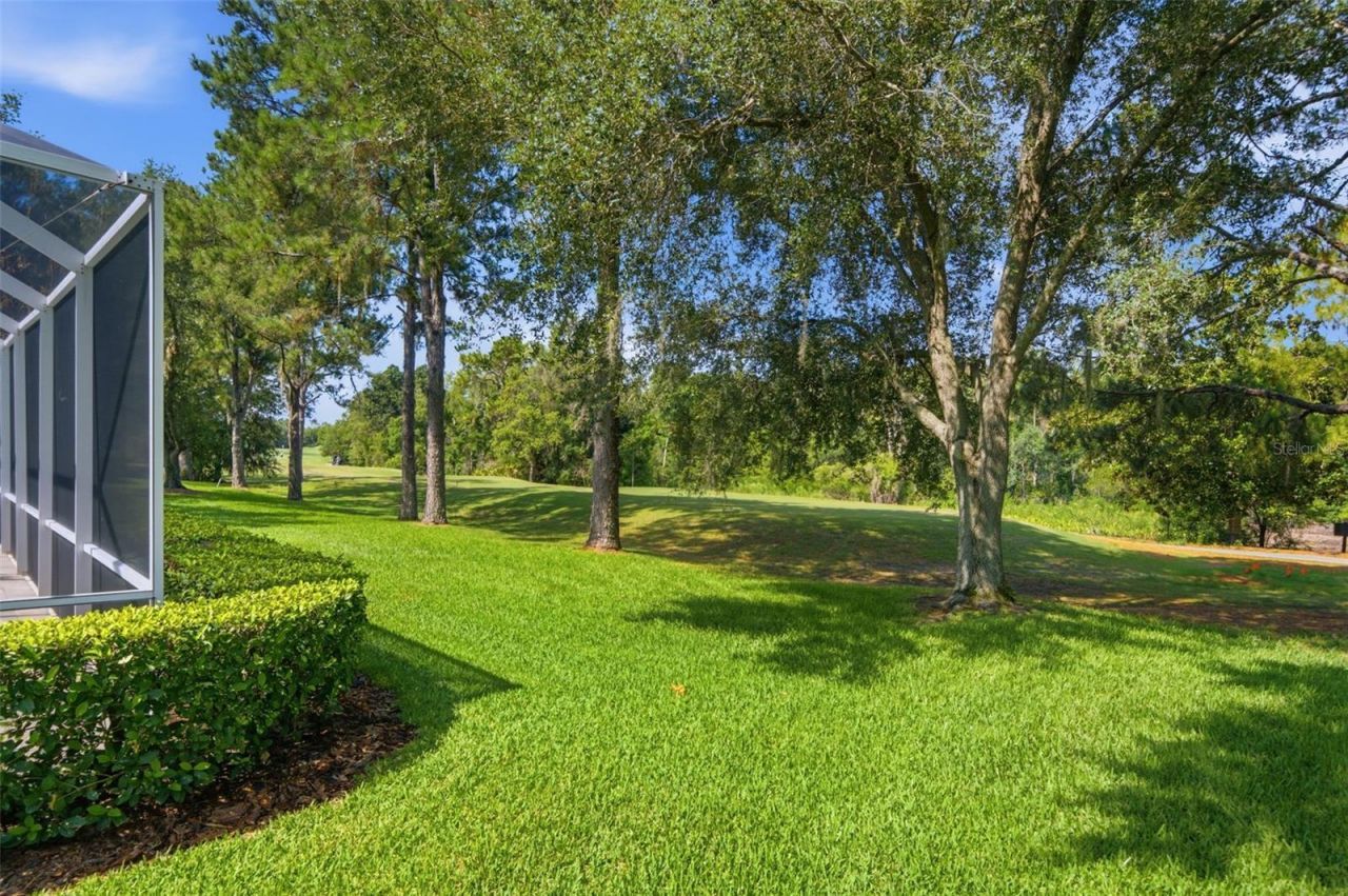 17422 Heather Oaks Place , Tampa, FL 33647 Photo
