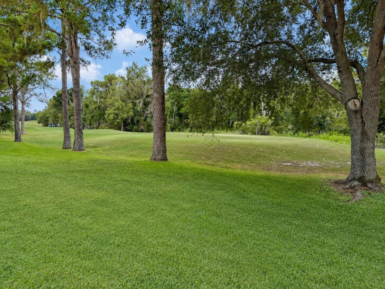 17422 Heather Oaks Place , Tampa, FL 33647 Photo